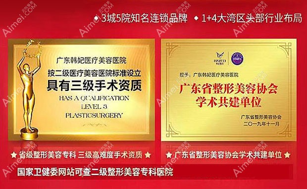 广东韩妃医疗美容医院资质荣誉