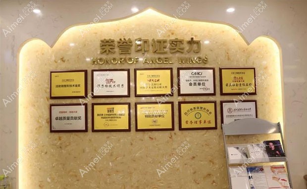 宜宾天使之翼医疗美容门诊部部分荣誉