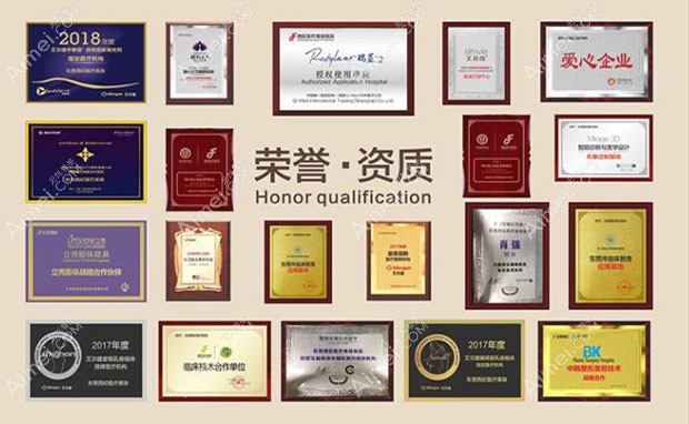 东莞西妃美容医院荣誉资质