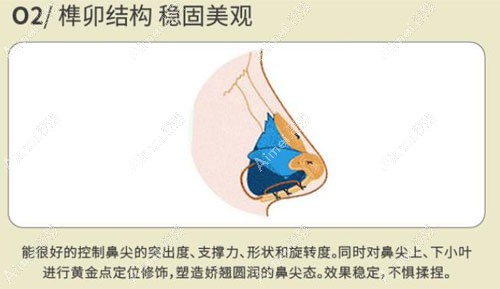 刘冰院长鼻尖塑型很到位