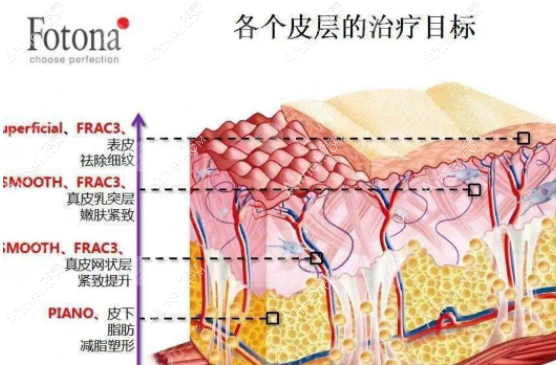 欧洲之星的作用原理及功效 欧洲之星的作用原理及功效