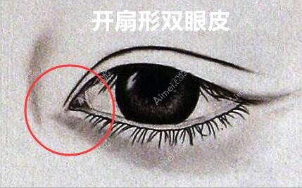 开扇形双眼皮图片 开扇形双眼皮图片