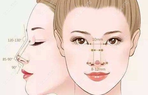 鼻子太长可以整短吗？我是长鼻想同时抬高鼻尖缩短鼻长