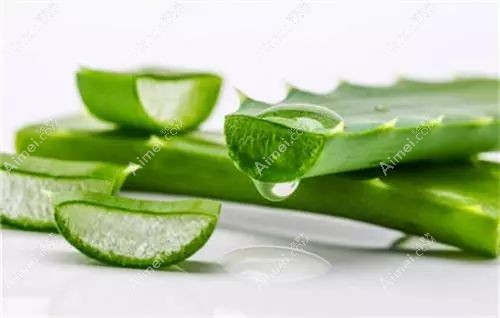 芦荟敷脸去除青春痘的小妙招 芦荟敷脸去除青春痘的小妙招