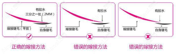 美睫毛的方式 美睫毛的方式