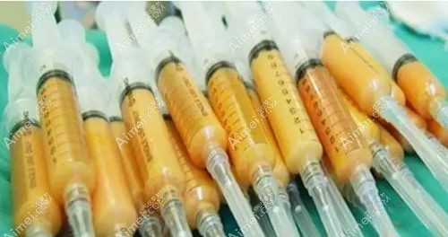 自体脂肪丰胸三四年脂肪细胞存活率低和吸脂技术不当有关www.dlren.com.jpg 自体脂肪丰胸三四年脂肪细胞存活率低和吸脂技术不当有关www.dlren.com.jpg