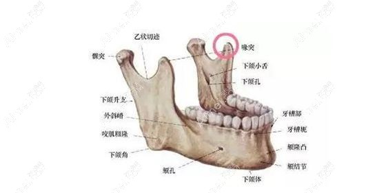 颧骨颧弓内推能推多少毫米?颧骨宽大推3mm和5mm外观改变大吗