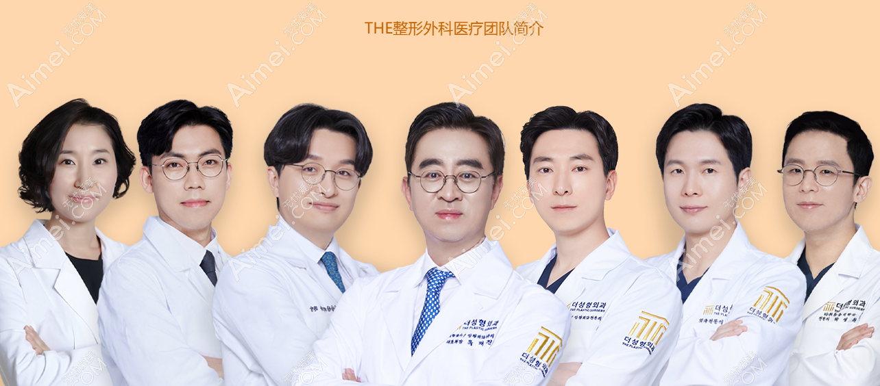 韩国the整形医院医生团队推荐 韩国the整形医院医生团队推荐