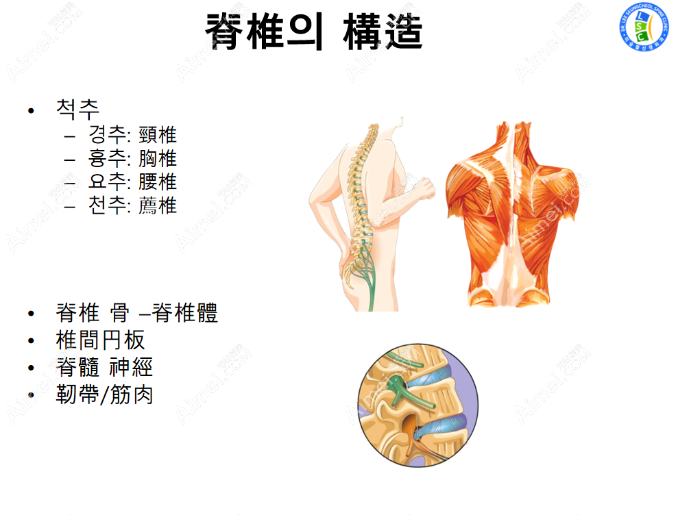 韩国李承哲神经外科医院脊椎病治疗特色项目 韩国李承哲神经外科医院脊椎病治疗特色项目
