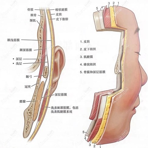 穆宝安v美减龄能保持多久 穆宝安v美减龄能保持多久
