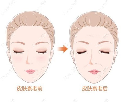 双逆博士和半岛超声炮相比哪个好?对比价格,双逆博士维持久