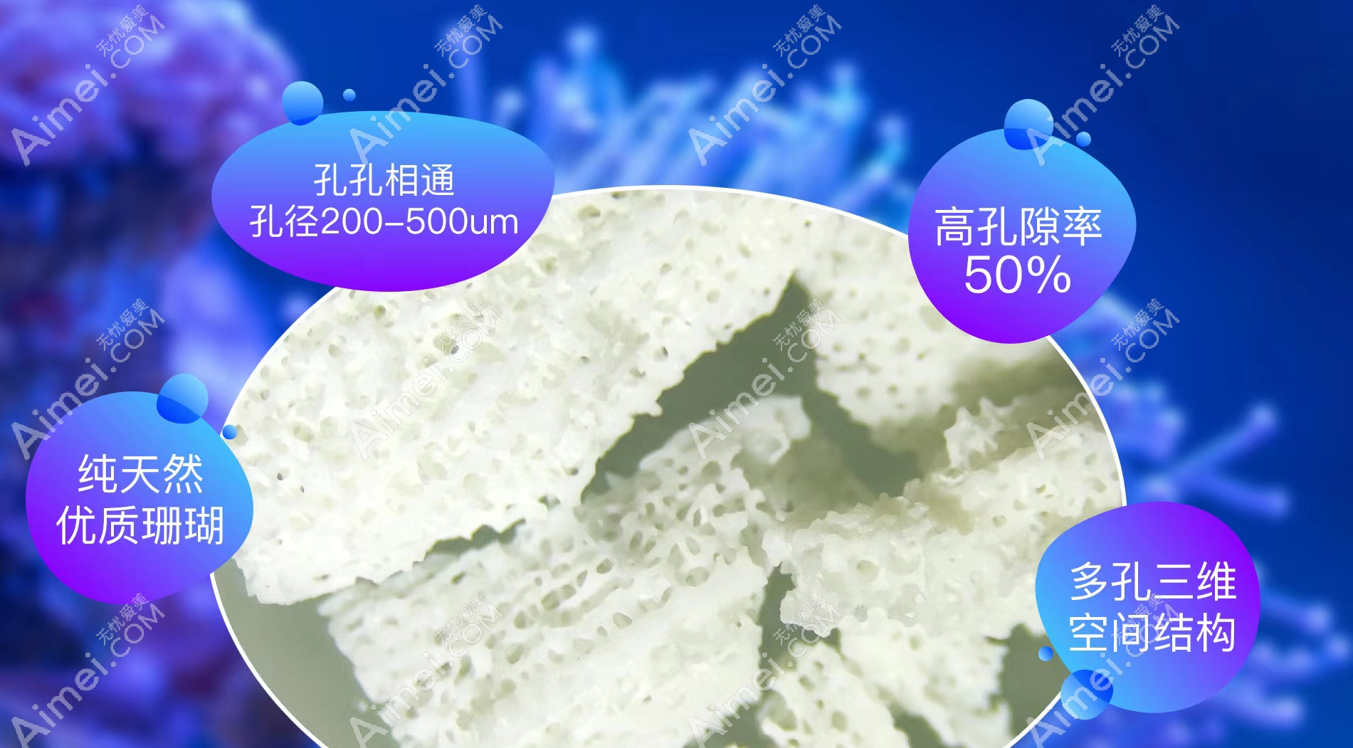 珊瑚骨填充鼻基底材料 珊瑚骨填充鼻基底材料