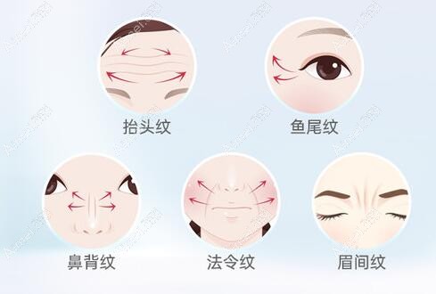 超声王和黄金超声炮哪个好