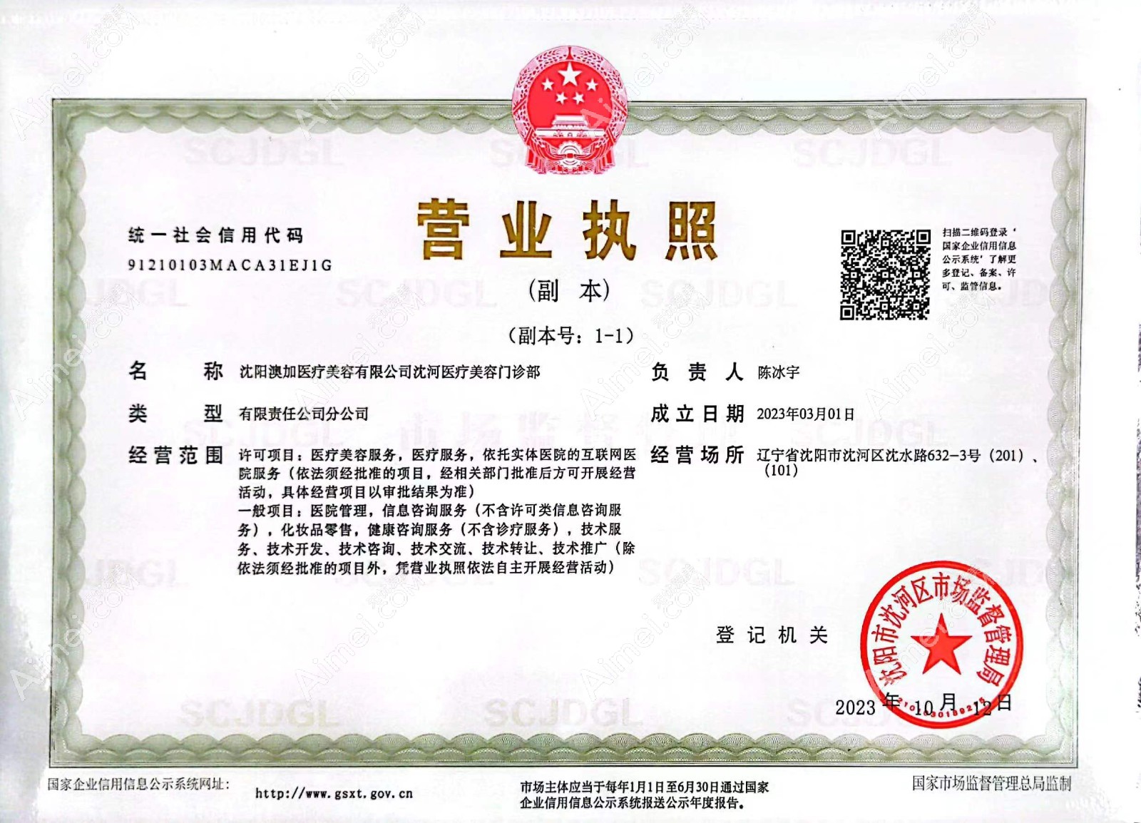 沈阳澳加医疗美容门诊部营业执照