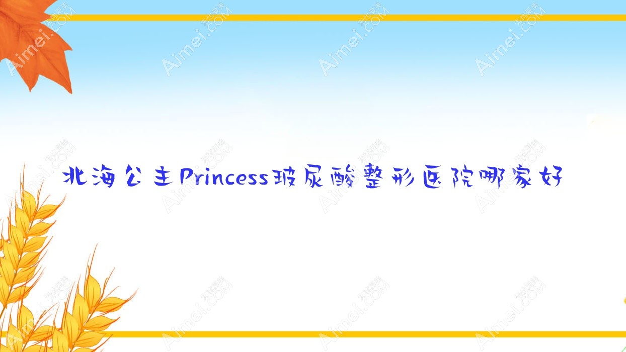 北海公主Princess玻尿酸整形医院哪家好