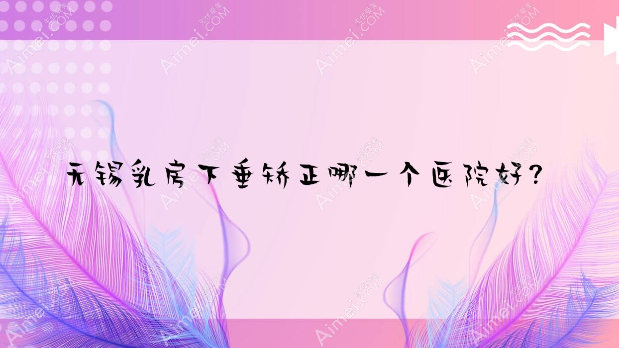无锡乳房下垂矫正哪一个医院好? 无锡乳房下垂矫正哪一个医院好?