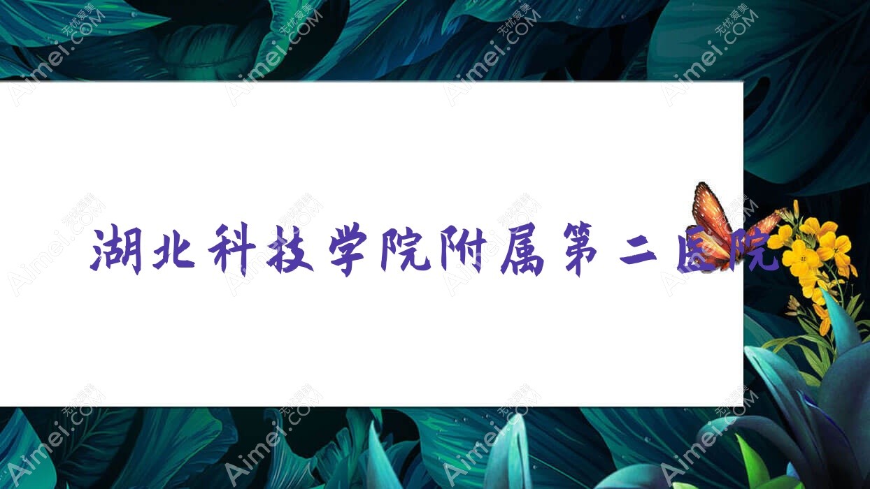 湖北科技学院附属第二医院 湖北科技学院附属第二医院