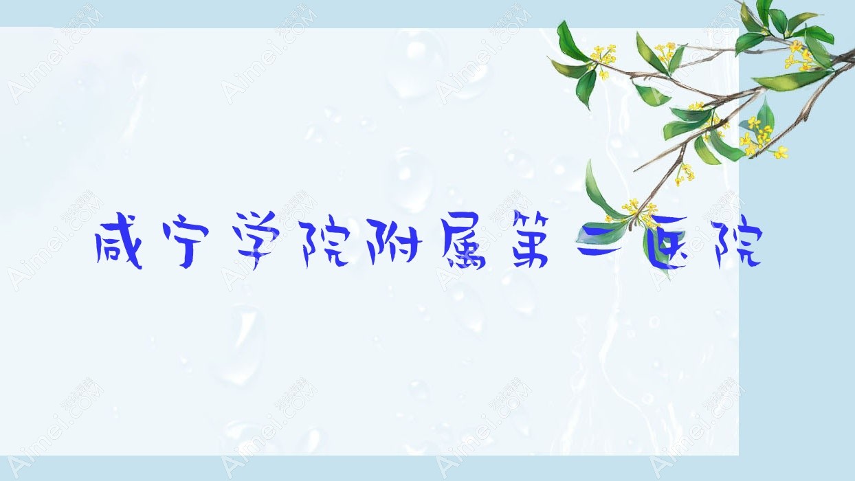 咸宁学院附属第二医院 咸宁学院附属第二医院