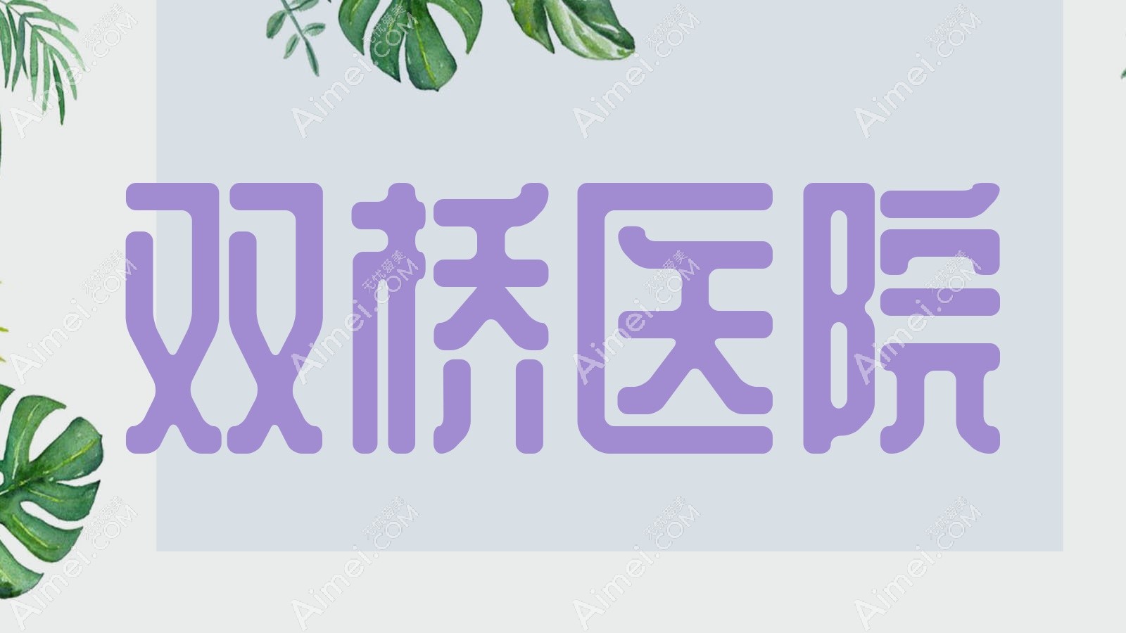 双桥医院 双桥医院