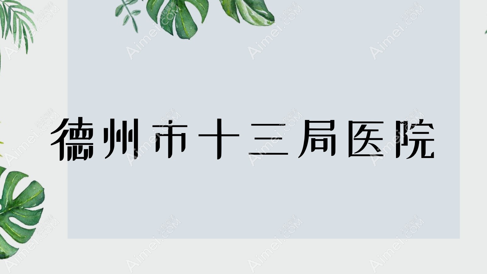 德州市十三局医院 德州市十三局医院