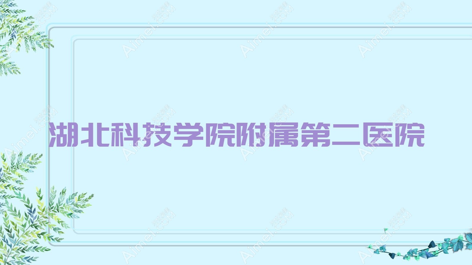 湖北科技学院附属第二医院 湖北科技学院附属第二医院