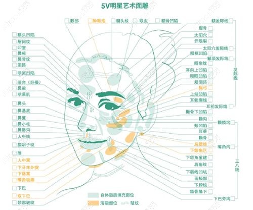 冯斌脂雕项目简介 冯斌脂雕项目简介