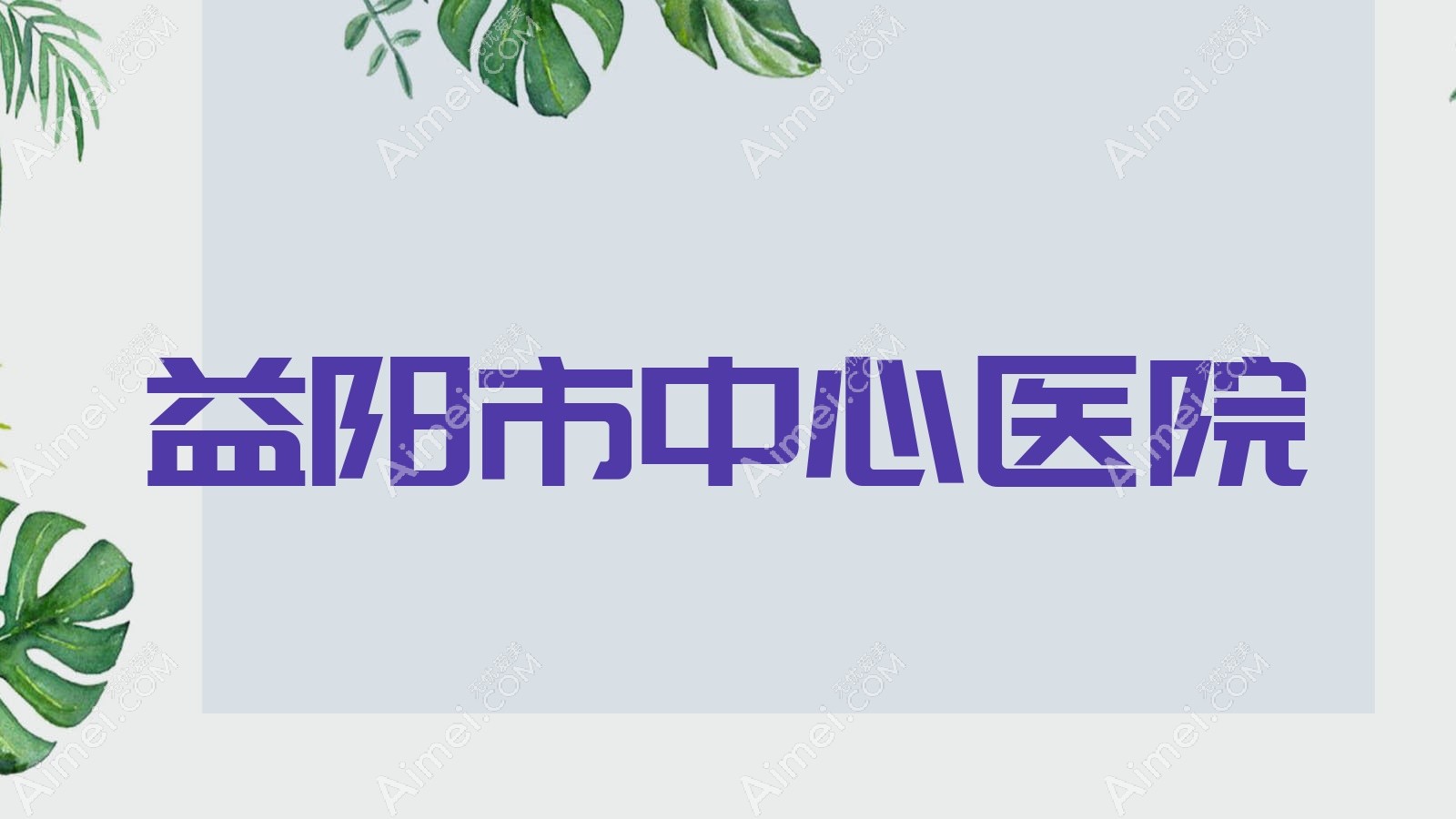 益阳市中心医院 益阳市中心医院