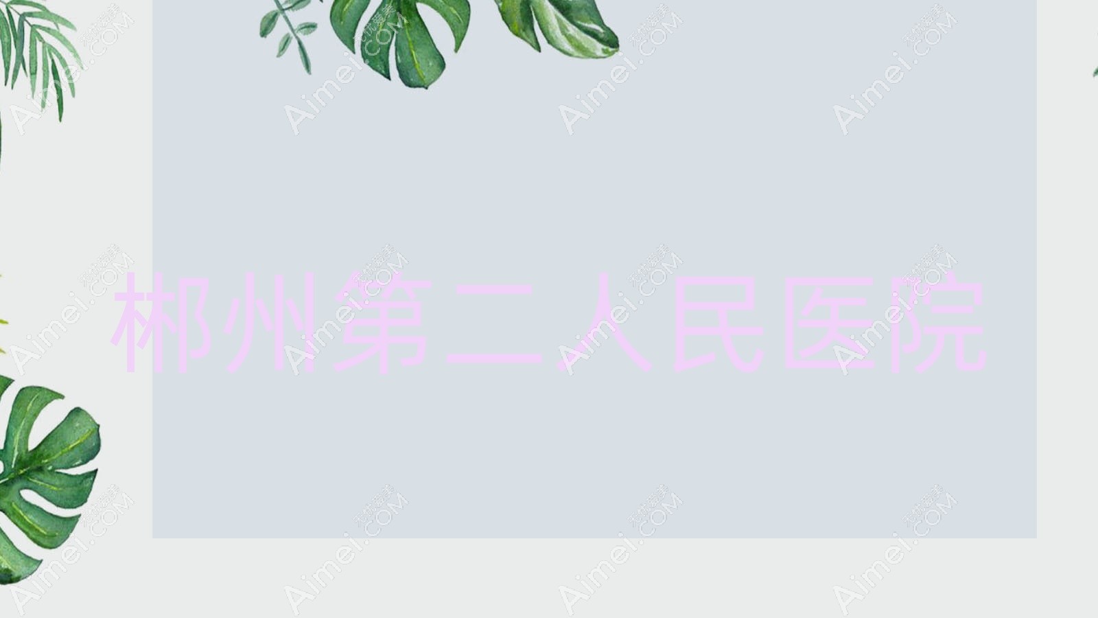 郴州第二人民医院 郴州第二人民医院