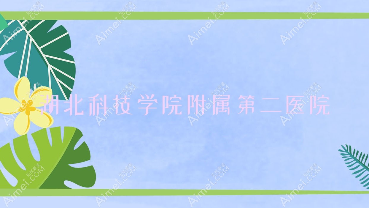 湖北科技学院附属第二医院 湖北科技学院附属第二医院