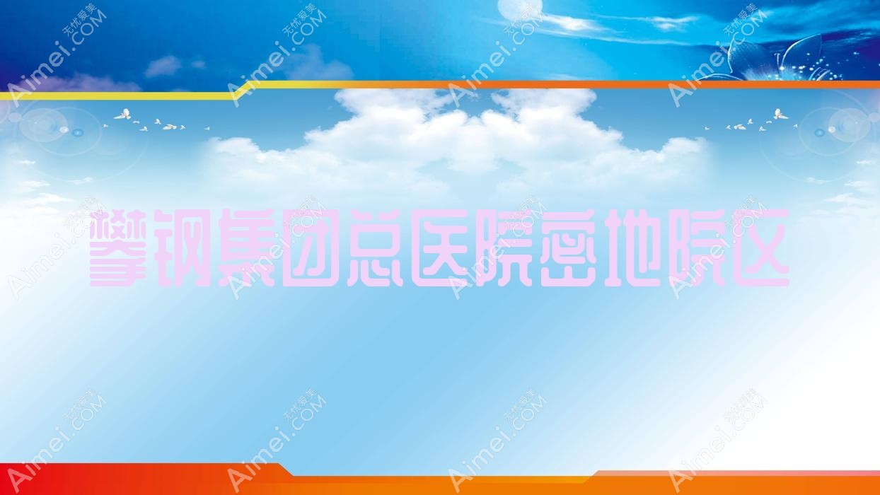 攀钢集团总医院密地院区 攀钢集团总医院密地院区