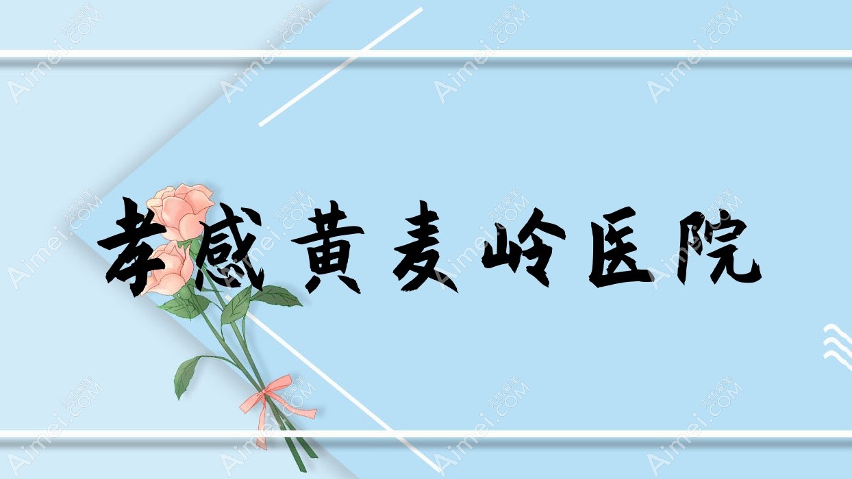 孝感黄麦岭医院 孝感黄麦岭医院