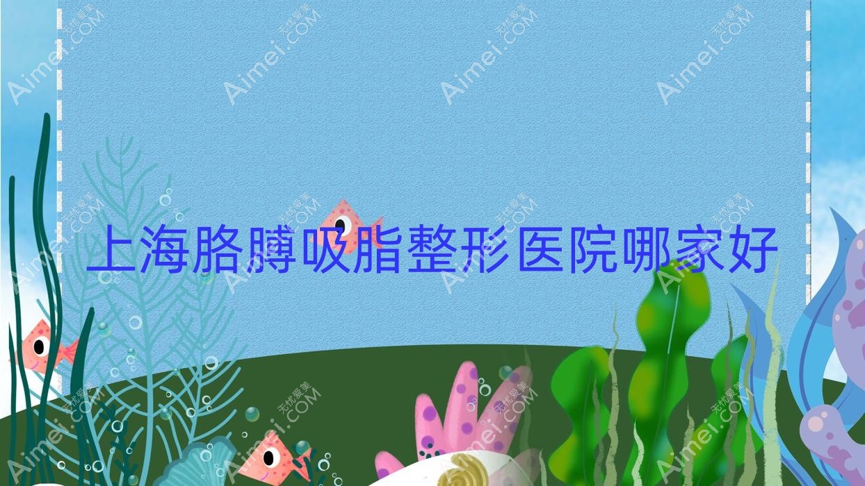 上海胳膊吸脂整形医院哪家好 上海胳膊吸脂整形医院哪家好