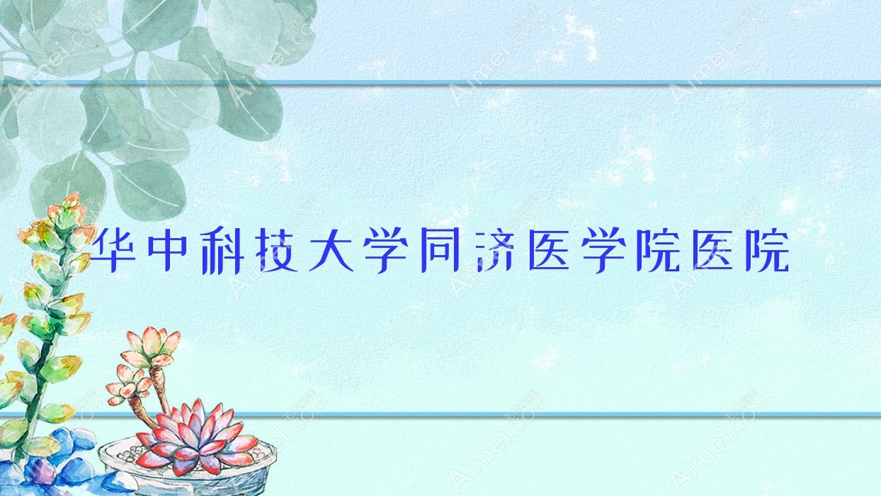 华中科技大学同济医学院医院 华中科技大学同济医学院医院