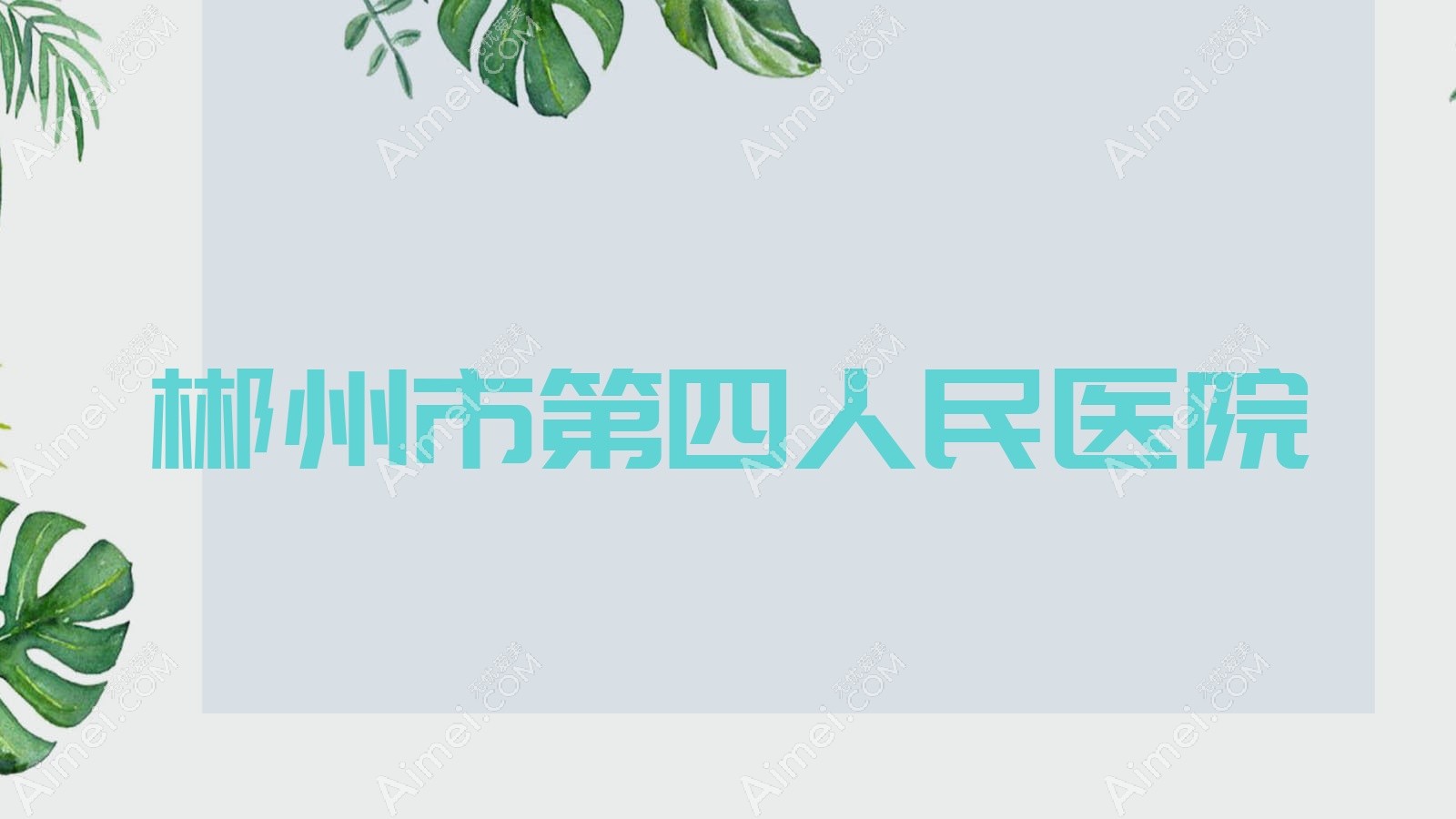 郴州市第四人民医院 郴州市第四人民医院