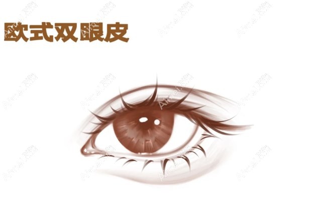 沈阳杏林整形医院割双眼皮 沈阳杏林整形医院割双眼皮