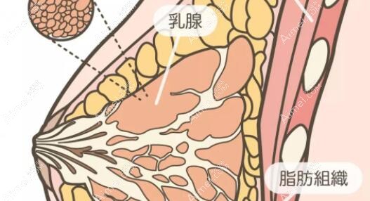 郭震宇医生的良好口碑并非空穴来风 郭震宇医生的良好口碑并非空穴来风