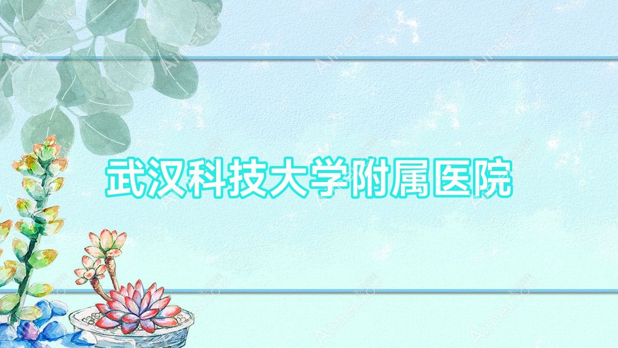 武汉科技大学附属医院 武汉科技大学附属医院