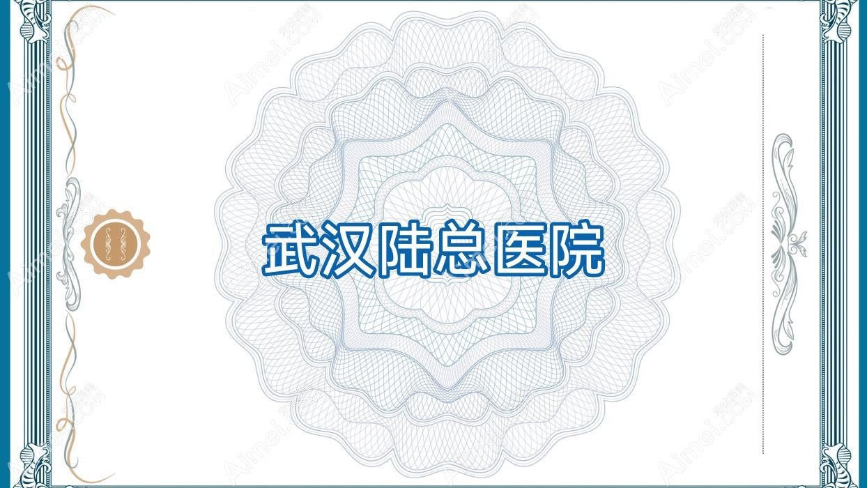 武汉陆总医院 武汉陆总医院