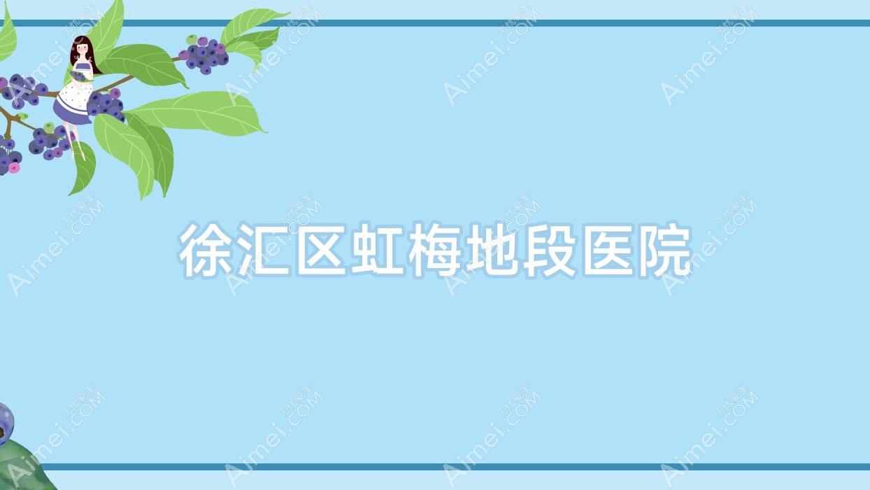 徐汇区虹梅地段医院 徐汇区虹梅地段医院