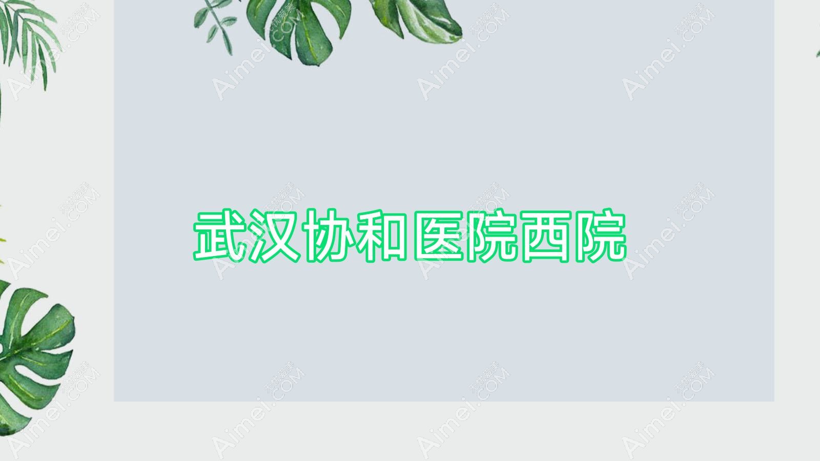 武汉医院西院 武汉医院西院