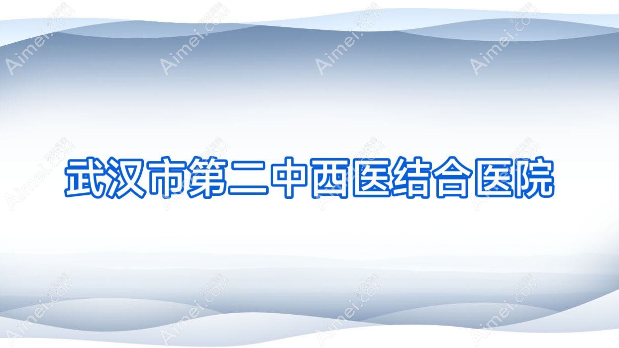 武汉市第二中西医结合医院 武汉市第二中西医结合医院