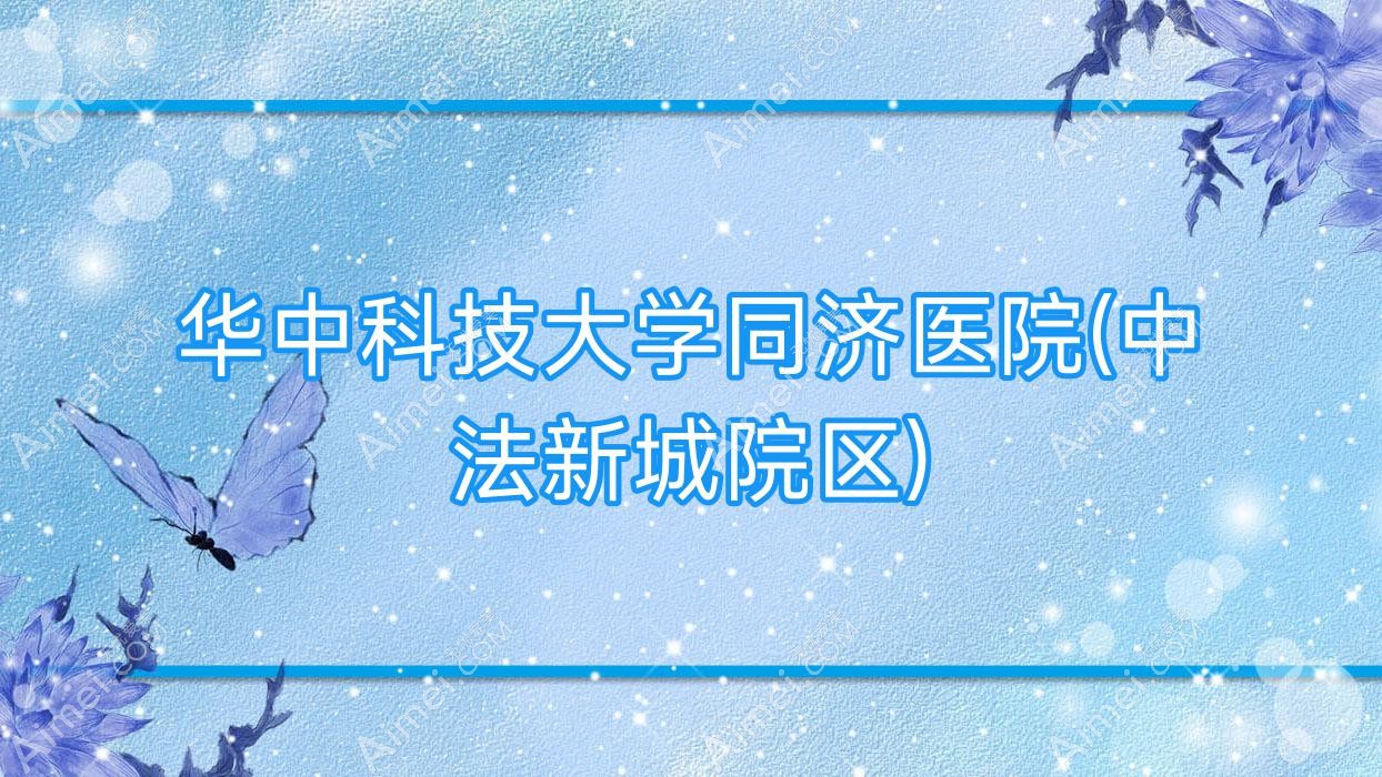 华中科技大学同济医院(中法新城院区) 华中科技大学同济医院(中法新城院区)