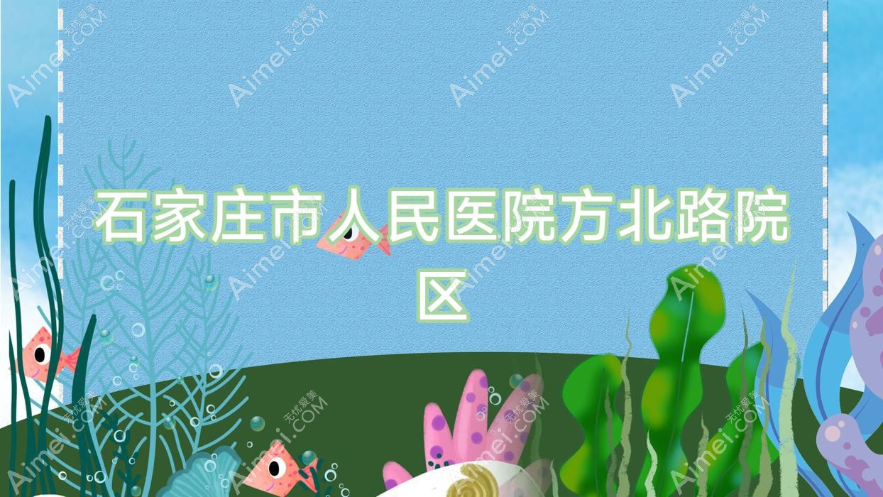 石家庄市人民医院方北路院区 石家庄市人民医院方北路院区