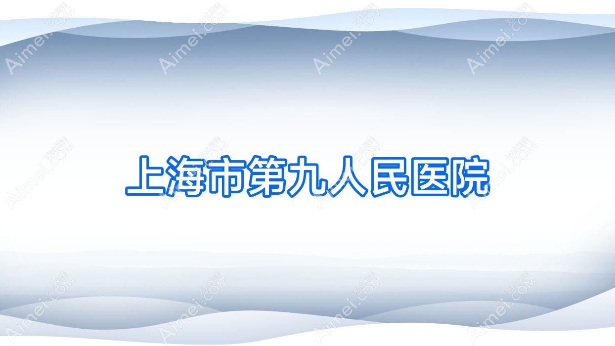 上海市 上海市