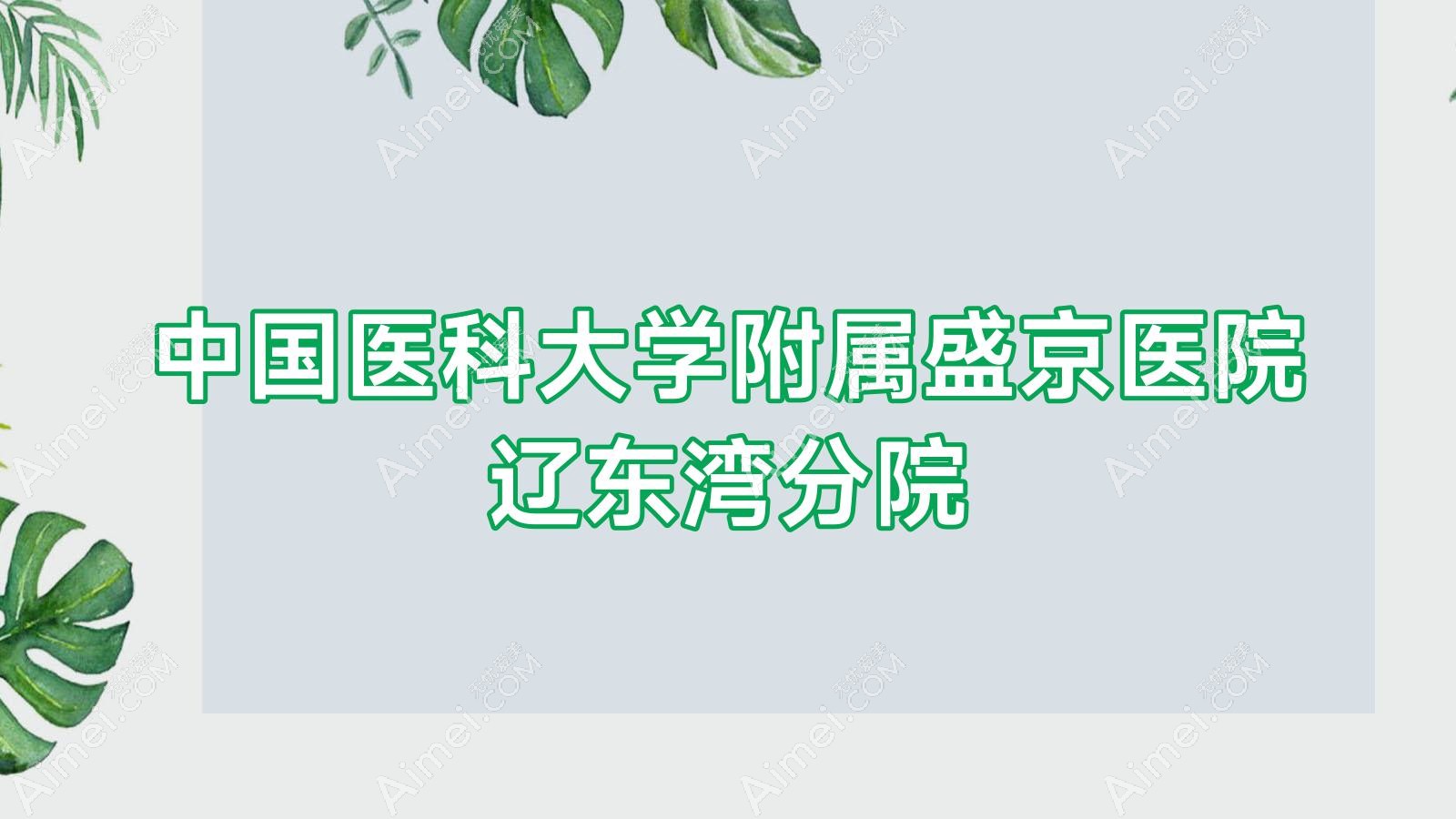 国内医科大学附属盛京医院辽东湾分院 国内医科大学附属盛京医院辽东湾分院