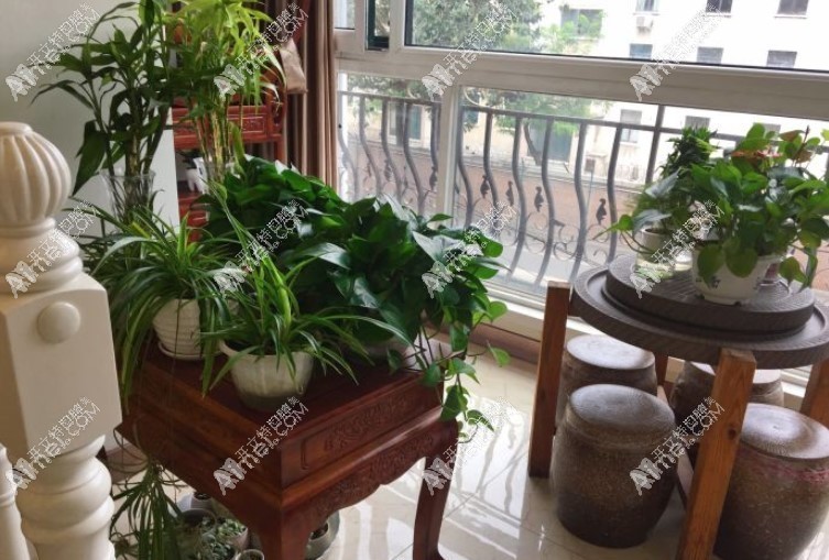 北京惠美佳口腔门诊部 北京惠美佳口腔门诊部