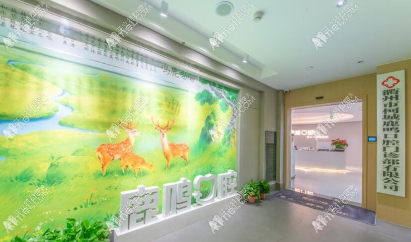 衢州柯城鹿鸣口腔门诊部 衢州柯城鹿鸣口腔门诊部