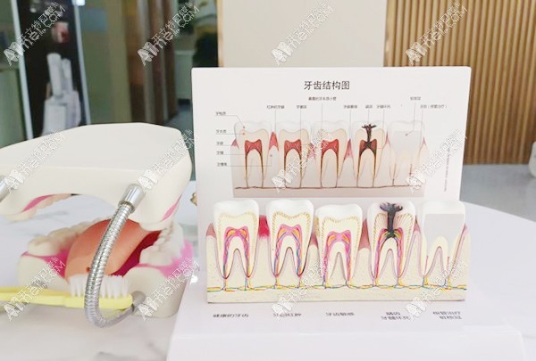 上饶鄱阳泽雅口腔诊所 上饶鄱阳泽雅口腔诊所