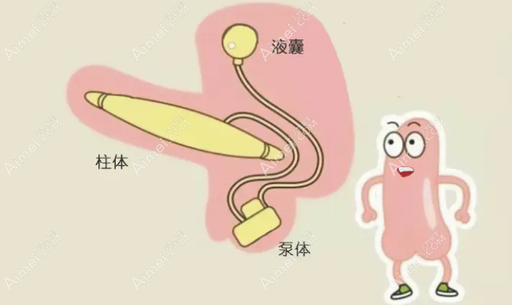 李世荣生殖器整形费用表 李世荣生殖器整形费用表
