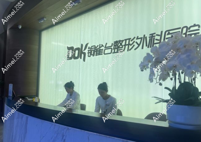 铜雀台梁海彬做鼻子怎么样
